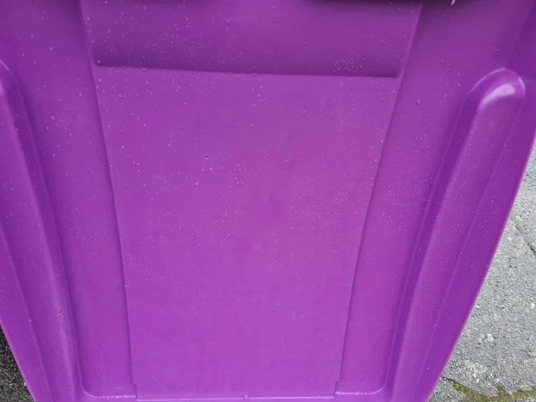 Clean bin lid after photo