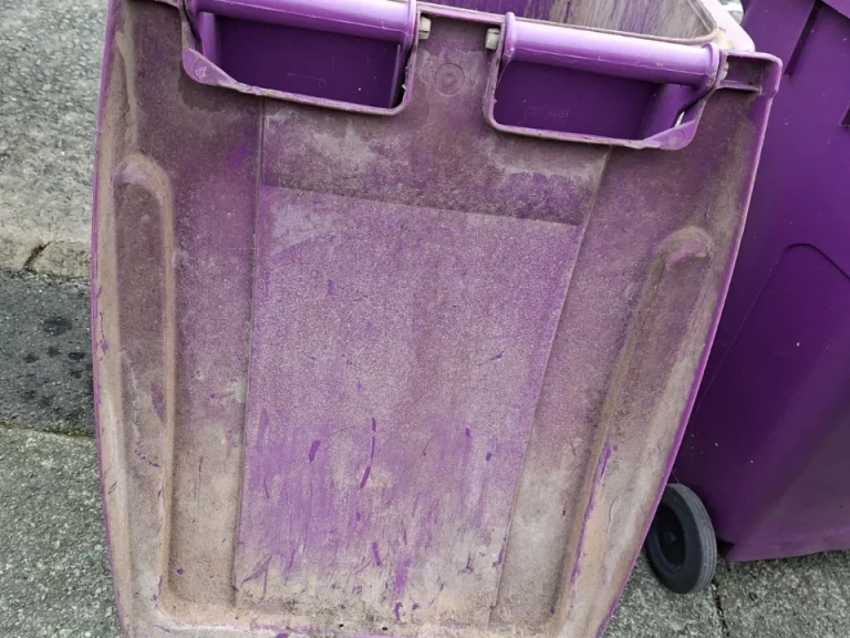 Dirty bin lid before first deep clean
